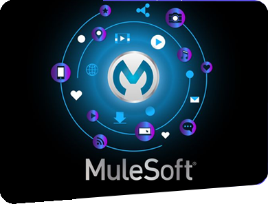 Mulesoft for  Integration Professionals